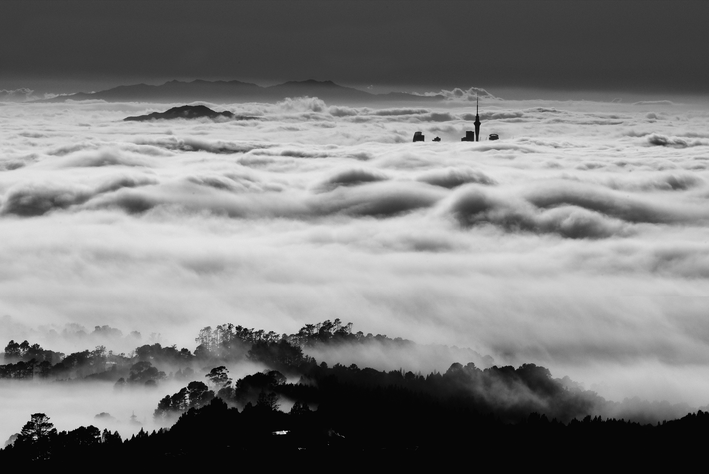 Auckland Mists from Waitākere, 2022 by Ted Scott