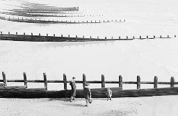 Groynes and Walkers by Ted Scott
