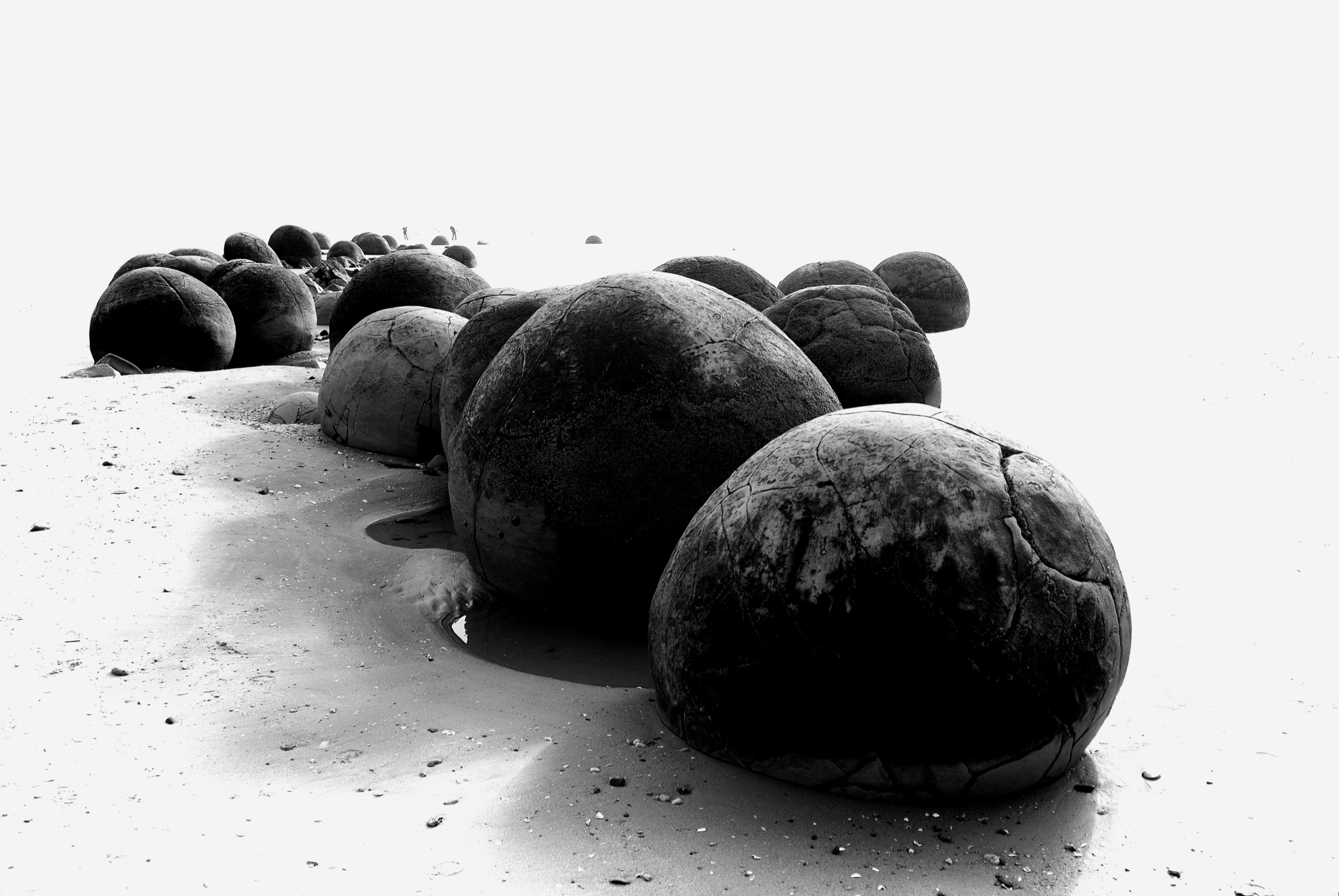 Moeraki Boulders by Ted Scott