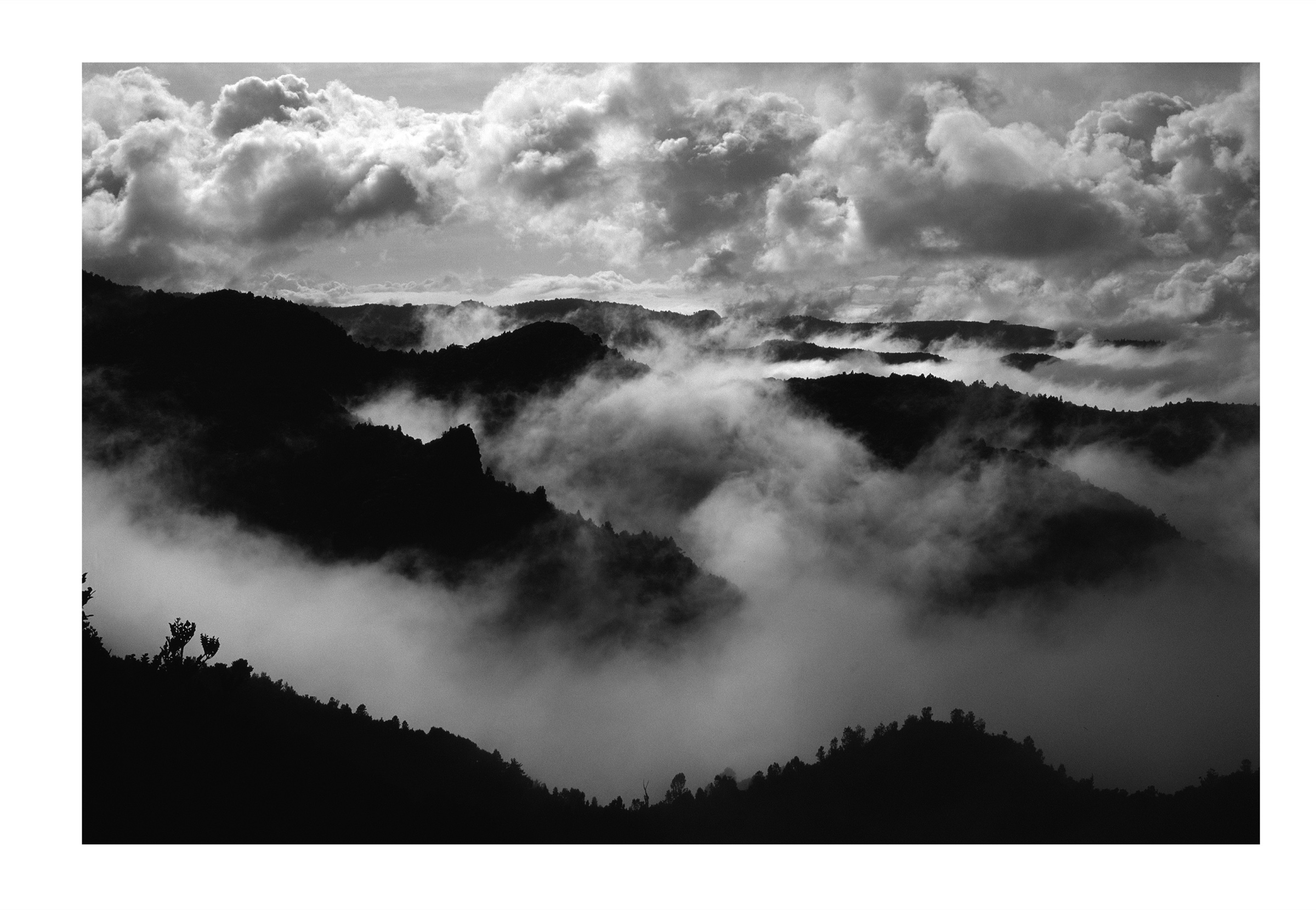Winter Mists by Ted Scott
