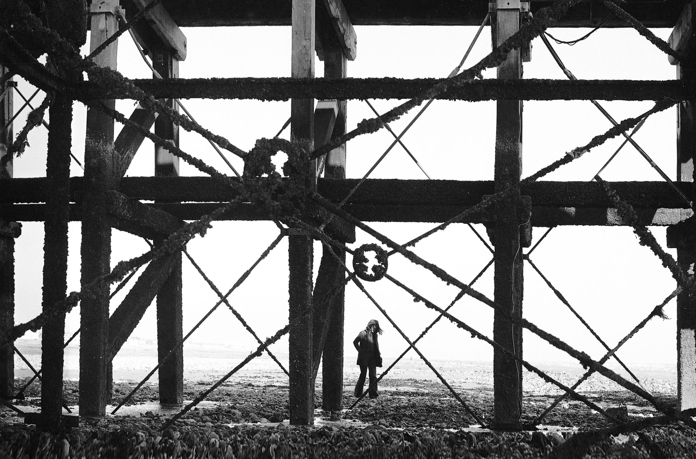 Worthing Pier, 1958 by Ted Scott